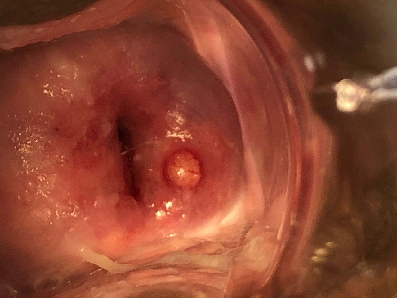 Fertigynclinic — foto 4