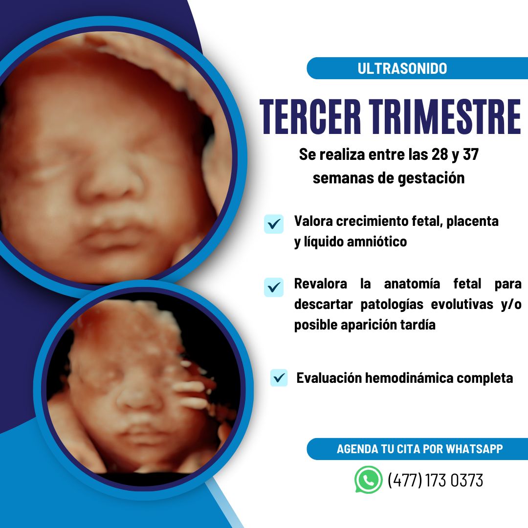 Medicina Materno Fetal / Torre Médica Santé — foto 4